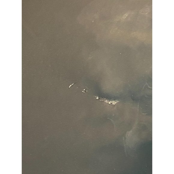 Pendleton Ryegrass Waterproof Down Vest - Picture 11 of 16